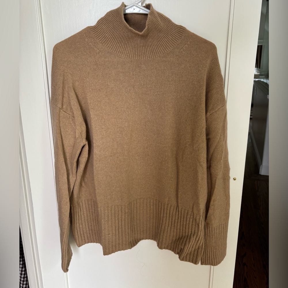 Everlane Cashmere Oversized Turtleneck